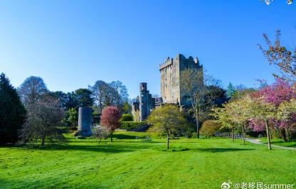 爱尔兰留学签证政策收紧：2024年庇护许可数量骤降52%