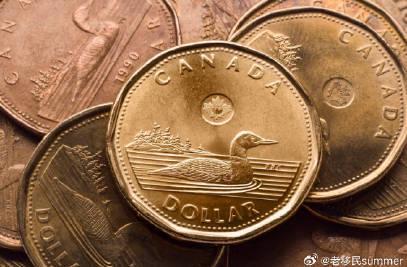 加拿大就业市场震荡：留学生求职现状与应对策略