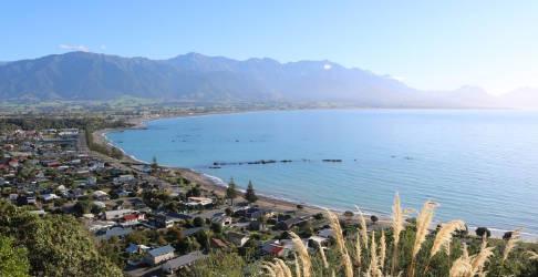 新西兰移民数据大跳水！一年锐减80%，华人最爱去这个地区