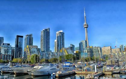 海外华人必看：2024年枫叶卡换发全攻略，避开居住时间陷阱！