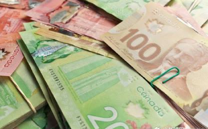 加拿大移民必看！快速通道申请中配偶申报的隐藏陷阱，90%的人都不知道