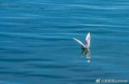 爱尔兰留学签证政策解析：Stamp 4与Stamp 5签证对比