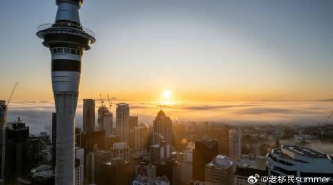 新西兰留学移民全解析：教育优势与就业前景