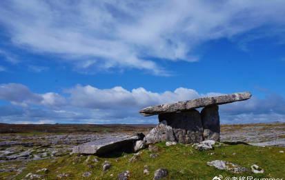 2024爱尔兰移民数据大公开！中国申请者狂揽1962份工作许可，这些行业最吃香