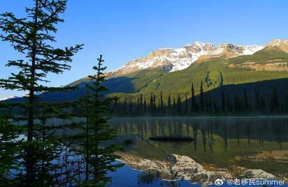 海外华人必看：加拿大高额小费文化引热议，25%-35%小费到底该不该给？