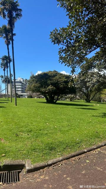 新西兰留学全攻略：教育优势与移民路径解析