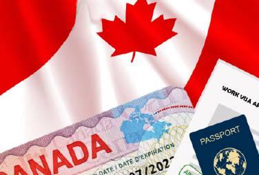 加拿大移民申请等待期惊现50年！这些热门项目排队时间超乎想象