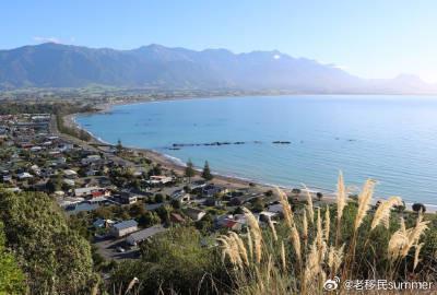 新西兰技能人才短缺危机催生移民政策重大调整