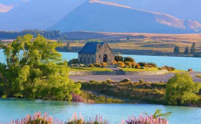 海外华人注意！新西兰海关新规出台，未申报这些物品将被重罚800纽币