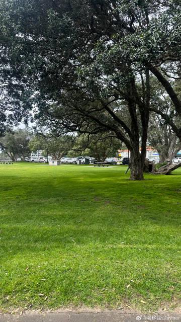 海外华人必看！新西兰移民全攻略：从申请到安家，这些细节你一定要知道