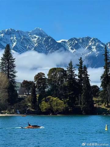 移民新西兰的7大惊人优势，看完我都心动了！
