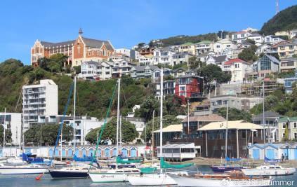 新西兰移民政策大揭秘！6分制+绿名单，这些坑千万别踩