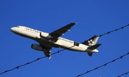 新西兰留学就业指南：紧缺职业与移民路径解析