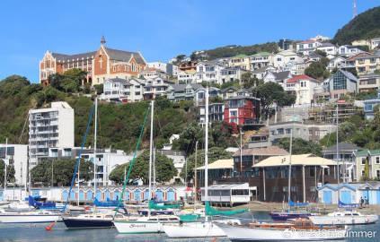 新西兰留学移民全解析：永久绿卡与教育优势