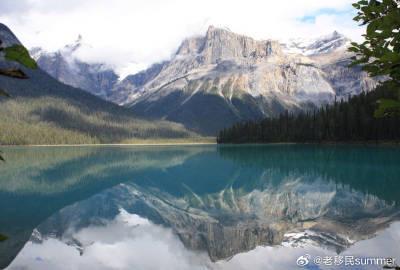 加拿大移民背调真相大揭秘！这些细节不注意可能直接被拒