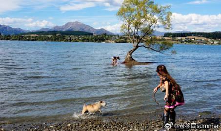 新西兰六分制移民政策详解：留学路径与评分组合全解析