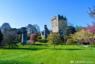 爱尔兰移民新政重磅解读：未成年子女福利加码，成年子女通道收紧！家庭团聚迎来分水岭