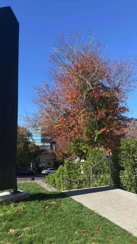 新西兰为何成为“无蛇天堂”？揭秘地理隔绝与严格管控背后的真相