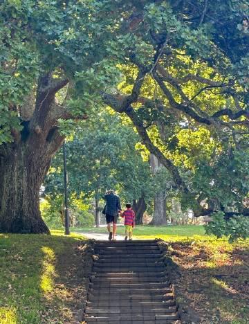 新西兰留学新趋势：绿名单职业解析与专业选择指南