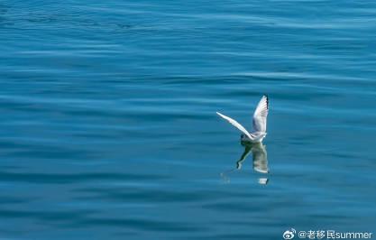 爱尔兰留学与工作居留政策全解析