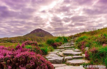 海外华人看过来!爱尔兰被评为全球最佳经商地,这些福利别错过