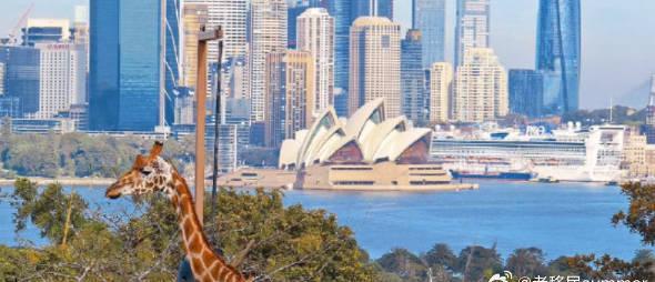澳大利亚昆州移民政策重大调整,留学移民路径全面更新