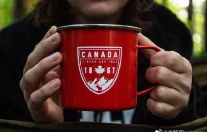 海外华人必看!加拿大移民学历造假案曝光,教你如何绕过地区限制追剧了解真相