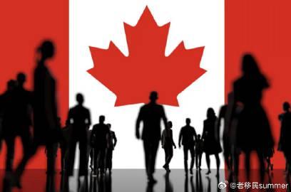 海外华人必看!加拿大临时身份危机曝光,40%的人靠这招成功转永居