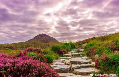 爱尔兰留学新路径:高管居留计划解析