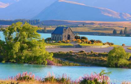 新西兰绿名单移民政策解析:四大优势直通永居