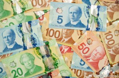 加拿大2026年薪资预测:这些专业人才最吃香