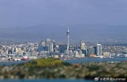 新西兰绿名单移民陷阱:医生需重考执照,技工陷认证死循环