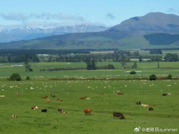 新西兰留学全解析:安全宜居的南半球教育胜地