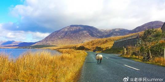 爱尔兰留学新趋势:教育优势与移民背景分析