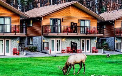 为什么越来越多人选择移民海外?揭秘背后的真实原因让人深思