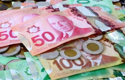 加拿大入籍政策大反转!一键入籍计划被悄悄叫停,背后原因令人深思