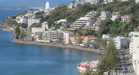 新西兰留学冷知识:从国宝羊到移民新政的另类解读