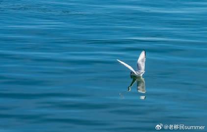 爱尔兰留学全解析:教育优势与就业前景