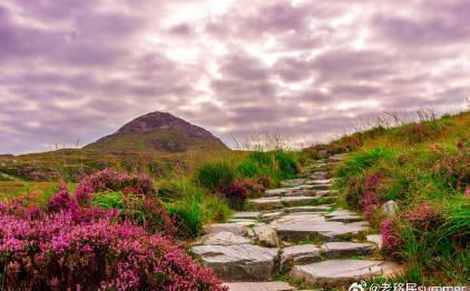 一本护照三重福利!爱尔兰身份竟能同时解锁英美欧生活圈