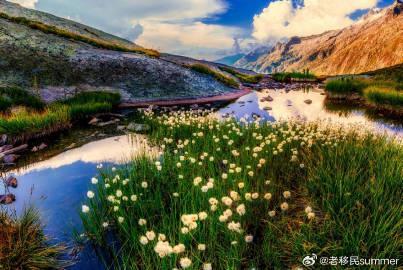 新西兰推出全民医疗卡!Medicard让看病不再难,这些福利细节要知道