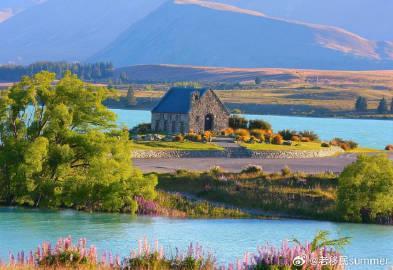 新西兰移民政策大放水!2025年技术、投资、留学党都有清晰路径,全家移居不是梦