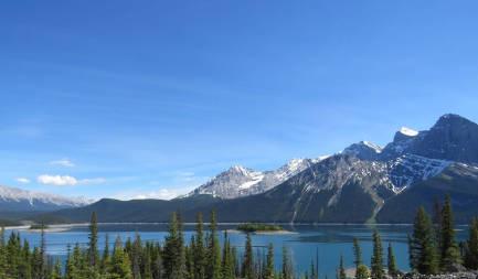 新西兰绿名单移民通道解析:紧缺职业直通居留权