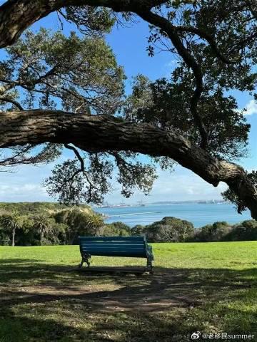 新西兰留学全解析:教育优势与移民新政