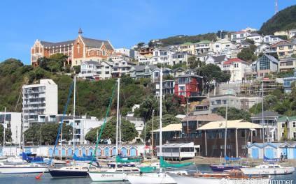 新西兰移民攻略:6分制+绿名单,避开这些坑轻松拿永久绿卡!