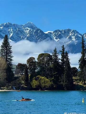 技术人才注意!澳洲排长队,新西兰绿名单最快3-6个月拿PR,你的职业上榜了吗?