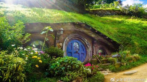 新西兰护照更新潮来袭,留学签证办理需提前规划