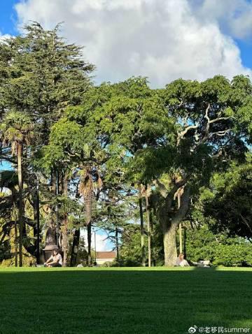 新西兰移民新规!6分制详解:博士直接拿RV,硕士本科也有清晰路径