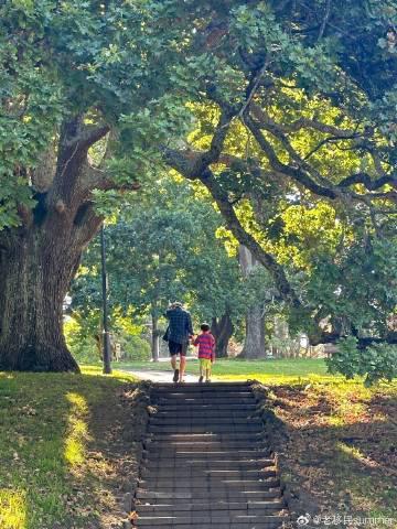 新西兰绿名单职业深度解析:IT与工程建筑人才移民快车道